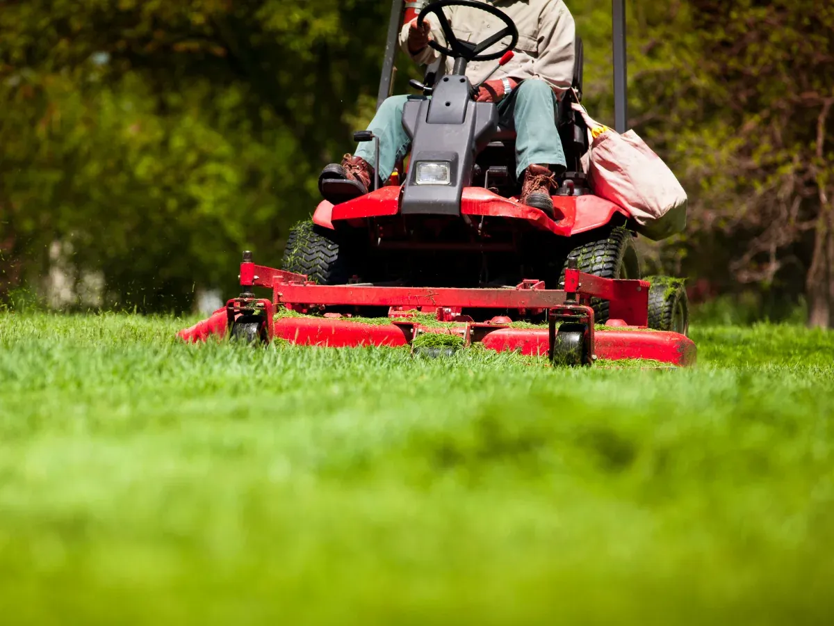 Red commercial riding mower cutting a green lawn